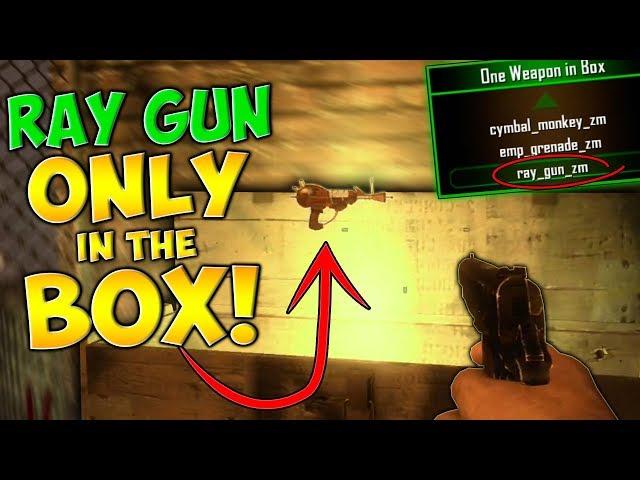 RAY GUN ONLY IN THE MYSTERY BOX MOD!! (Zombie Mod Trolling!)