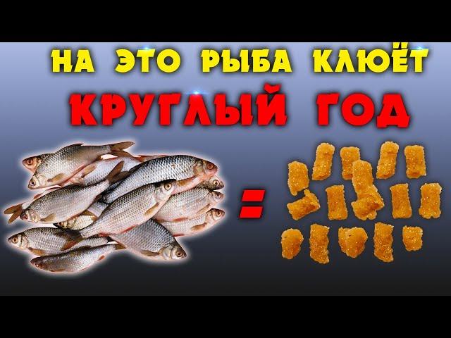 Рыба клюёт на это круглый год!!! Не слетает с крючка, быстро приготовить.