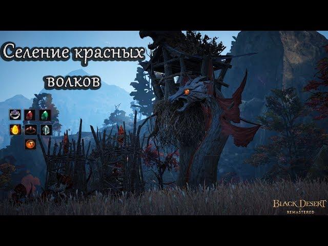 Селение Красных Волков. Лут, серебро, опыт. Black Desert