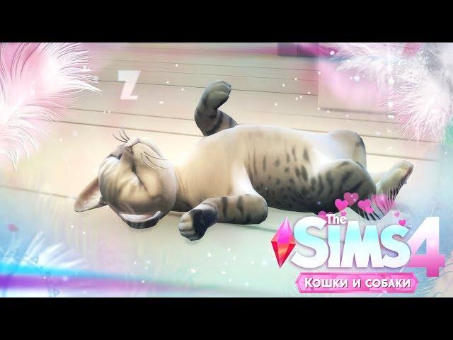 CAS: создаем питомцев  | The Sims 4: КОШКИ И СОБАКИ