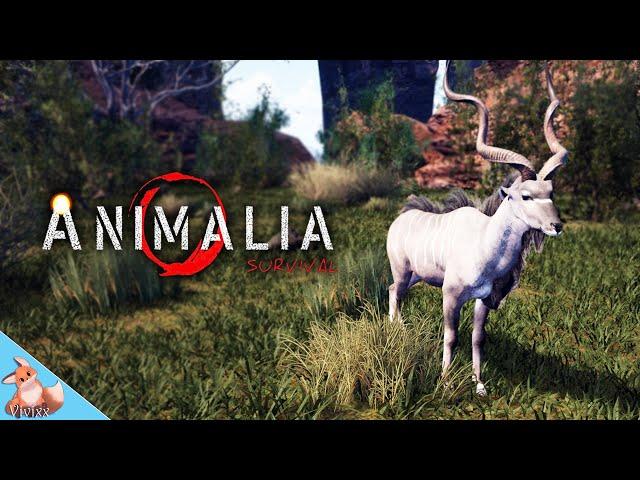 THE KUDU HAS ARRIVED IN ANIMALIA SURVIVAL!