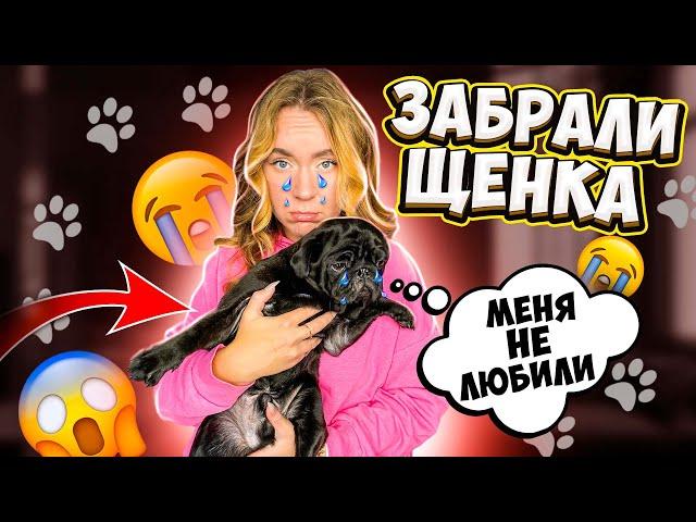 КУПИЛИ ЩЕНКА МОПСА! Наша ПЕРВАЯ ВСТРЕЧА и РЕАКЦИЯ БАКСА! ЕГО Первые 24 часа С Нами! ВЛОГ