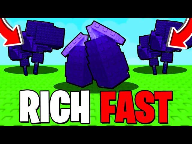The MOON MANGO METHOD Will MAKE YOU RICH In Grow A Garden! (BETTER THAN CANDY BLOSSOM) Roblox