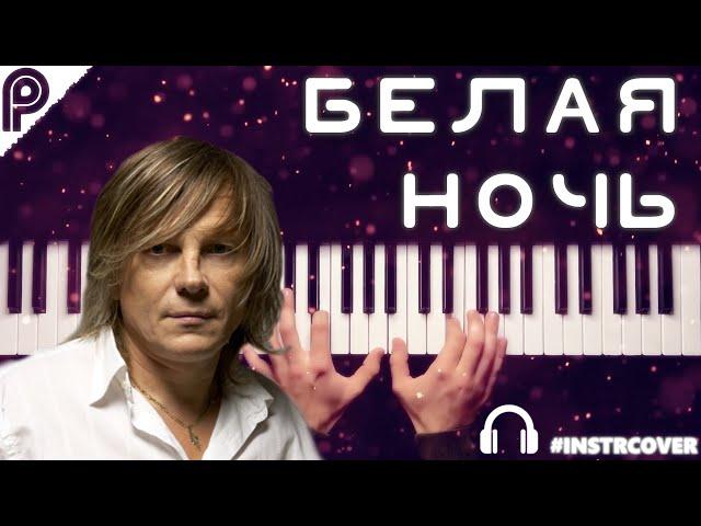 БЕЛАЯ НОЧЬ - В. Салтыков | #INSTRCOVER #белаяночь