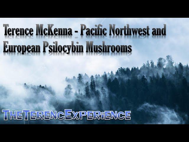 Terence McKenna - Pacific Northwest and European Psilocybin Mushrooms