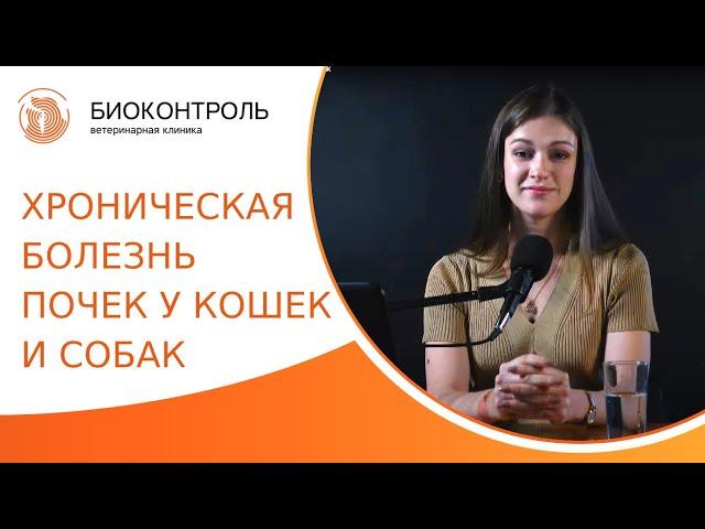  Болезни почек у питомцев: симптомы, лечение, прогнозы. Хроническая болезнь почек у кошек и собак.