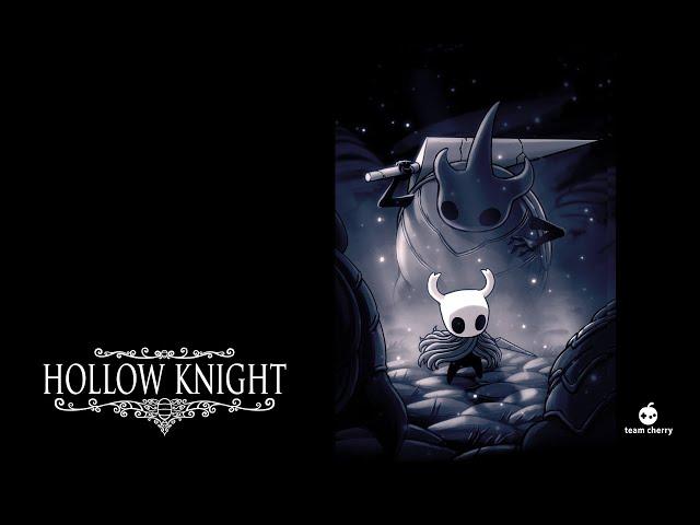 #19 Hollow knight  минус все грязящие