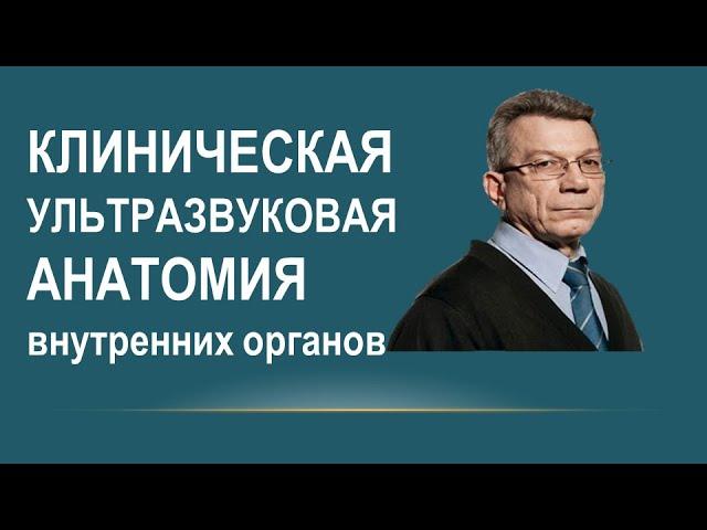 Введение в ультразвуковую  анатомию