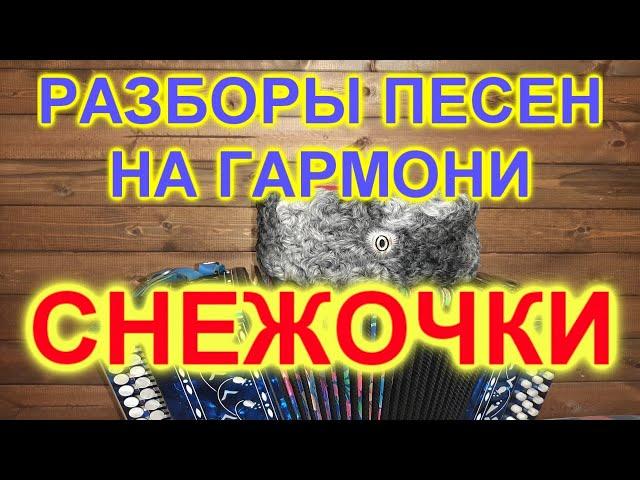 РАЗБОРЫ ПОД ГАРМОНЬ! ПОЛНО ВАМ СНЕЖОЧКИ!