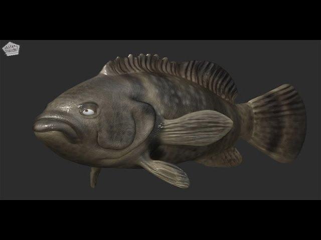 FREE Fish Rig for Autodesk Maya Download Demo by Shaun Keenan / Edge3Dcgi