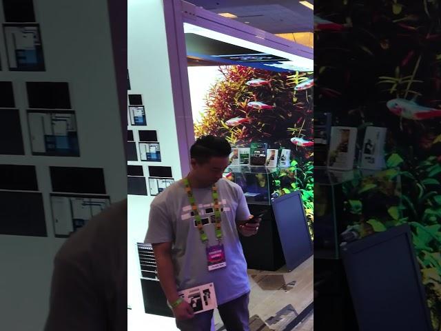 Ultum Nature Systems at Reefapalooza California 2024