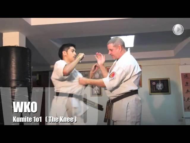 Kumite1o1 with Kancho Sifu Robert McInnes