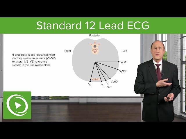 Standard 12 Lead ECG - Cardiology  | Lecturio