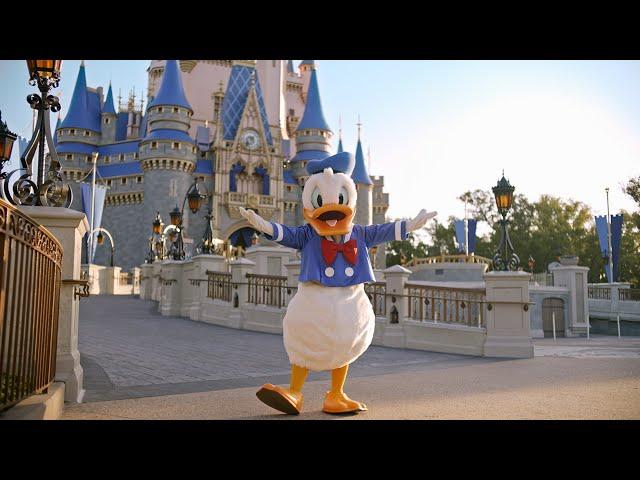 Donald Duck's 90th Birthday