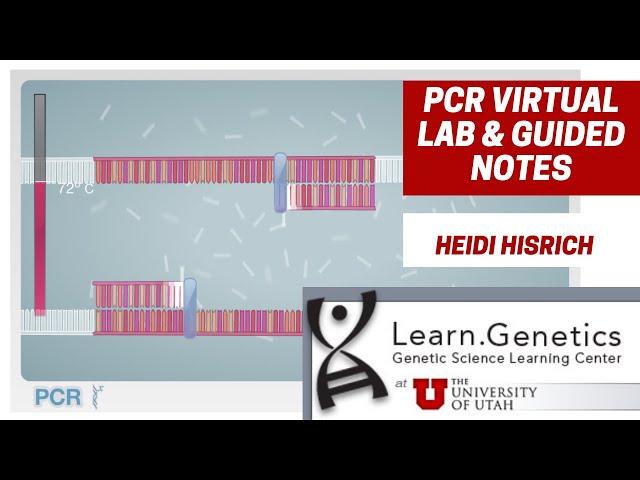 PCR Virtual Lab & Guided Notes