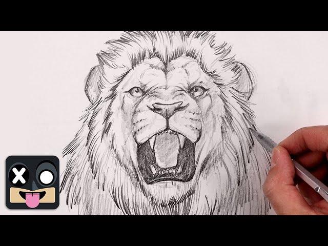 How To Draw a Lion | Step By Step Sketch Tutorial