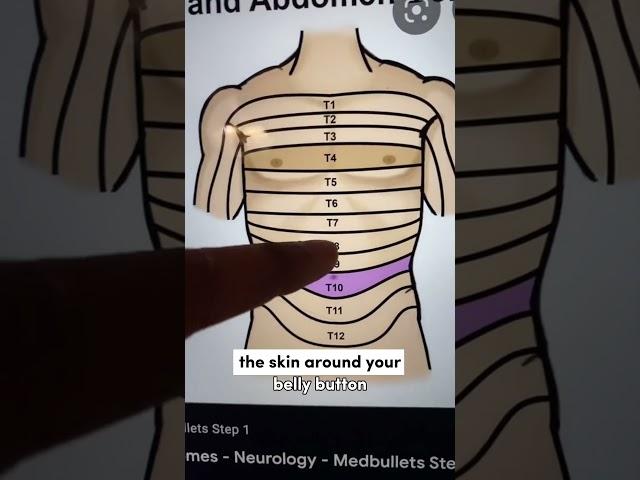 Doctor Explains Why Touching Your Belly Button Feels Naughty!