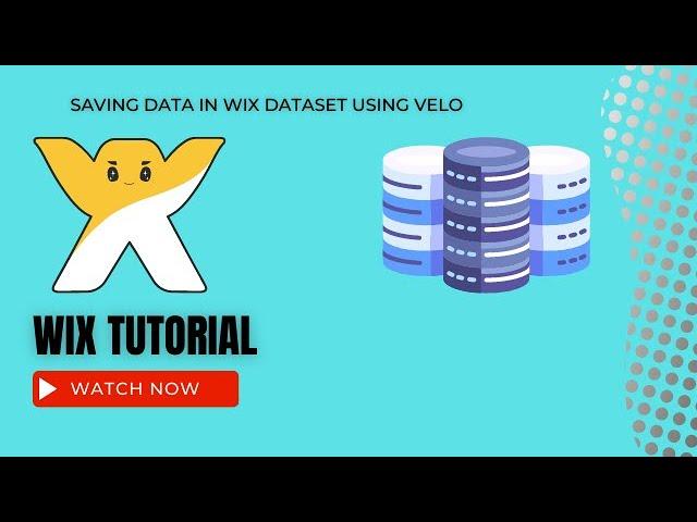 How to save data in a Wix collection or dataset in Wix using Velo