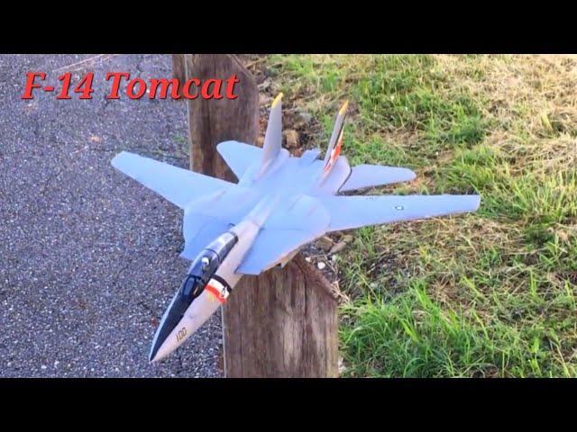 E-flite F-14 Tomcat twin 40mm edf Jet launch and Delta mode  #rc #aviation