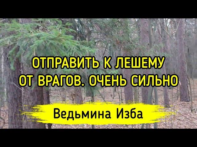 ОТПРАВИТЬ К ЛЕШЕМУ. ОТ ВРАГОВ. ОЧЕНЬ СИЛЬНО. ДЛЯ ВСЕХ. ВЕДЬМИНА ИЗБА ▶️ МАГИЯ