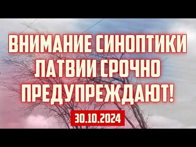 ВНИМАНИЕ СИНОПТИКИ ЛАТВИИ СРОЧНО ПРЕДУПРЕЖДАЮТ! | 30.10.2024 | КРИМИНАЛЬНАЯ ЛАТВИЯ