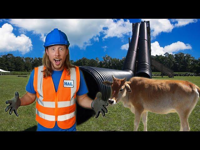 Handyman Hal Explores a Farm | Farm Animals and Huge Slide | Handyman Hal Fun Videos for Kids