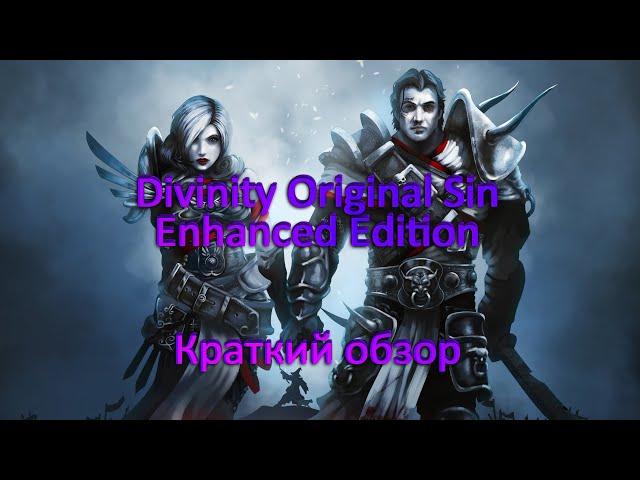 Краткий обзор Divinity Original Sin Enhanced Edition