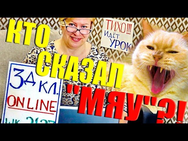 Кто сказал МЯУ на уроке?! Прикол с котом! Наш Ералаш)