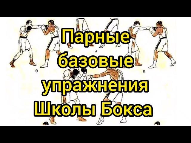 Парные базовые упражнения Школы Бокса