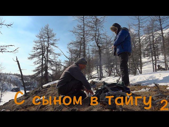 С сыном в тайгу 2. Плато Путорана / Bushcraft in Siberia / Сибирь