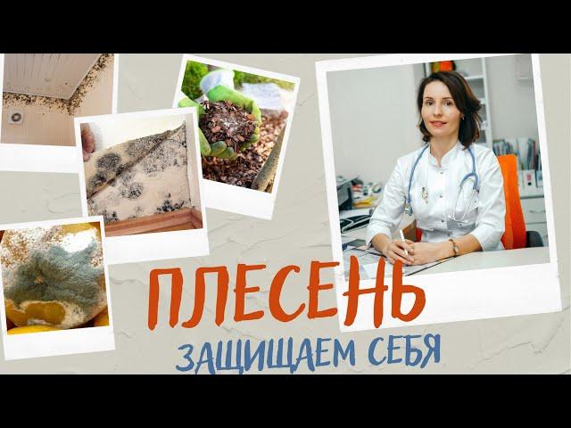 Плесень. Чем она опасна для человека? Как избежать контакта с ней?