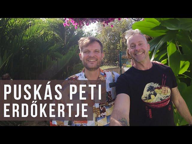 Puskás Peti erdőkertjében jártam | kert TV