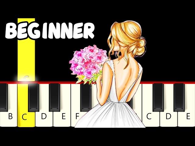 2 Famous Wedding Music - Slow and Easy Piano Tutorial - Beginner