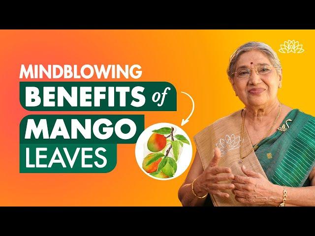 Benefits of mango leaves| Health benefits of mango leaves| Mango leaves for diabetes| Mango leaves