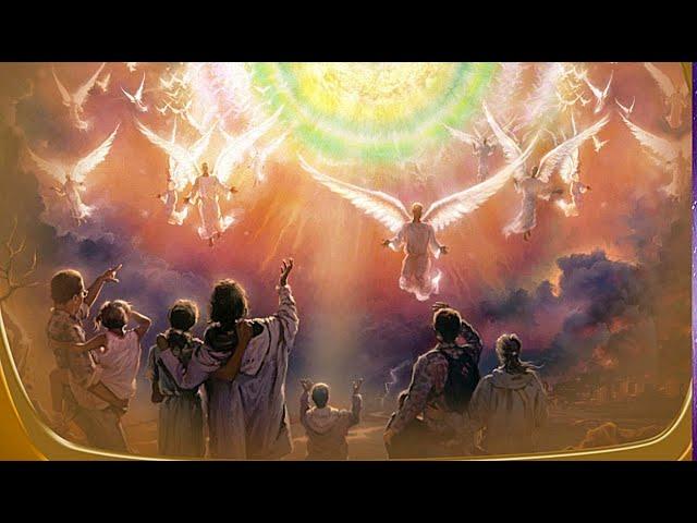 Why GOD Created HUMANS (Biblical Stories Explained)