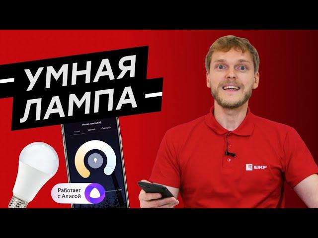 Умная лампа EKF. Управление светом по Wi-Fi.