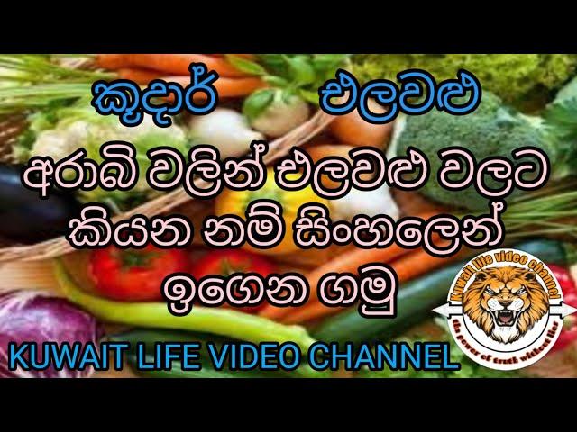 Let's learn Arabic words for vegetables in Sinhala/එලවළු