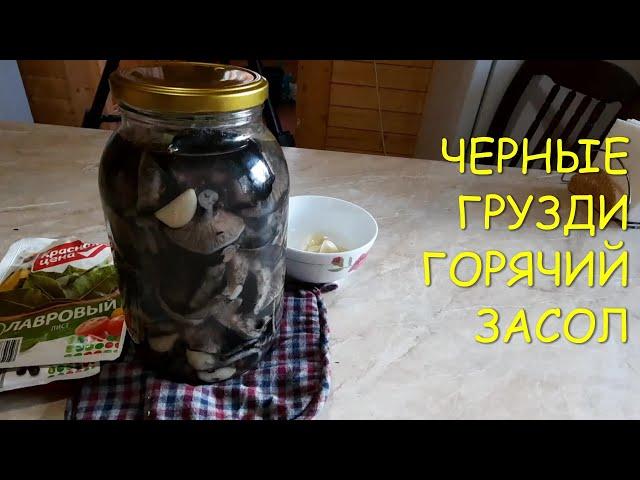 ЧЕРНЫЕ ГРУЗДИ ГОРЯЧИЙ ЗАСОЛ  ЧЕРНУШКИ #грибы#рецепты