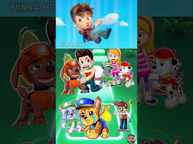 PAW Patrol:  - Zuma - Skye   Marshall - Ryder  Chase - Rocky Tiles Hop EDM Rush  #659