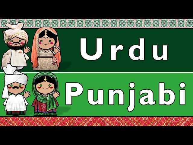 INDO-ARYAN: URDU & SHAHMUKHI PUNJABI