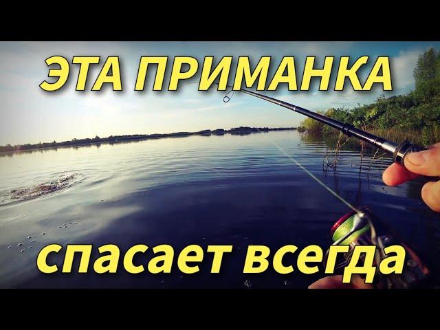 Эта приманка ловит всё подряд.Рыбалка