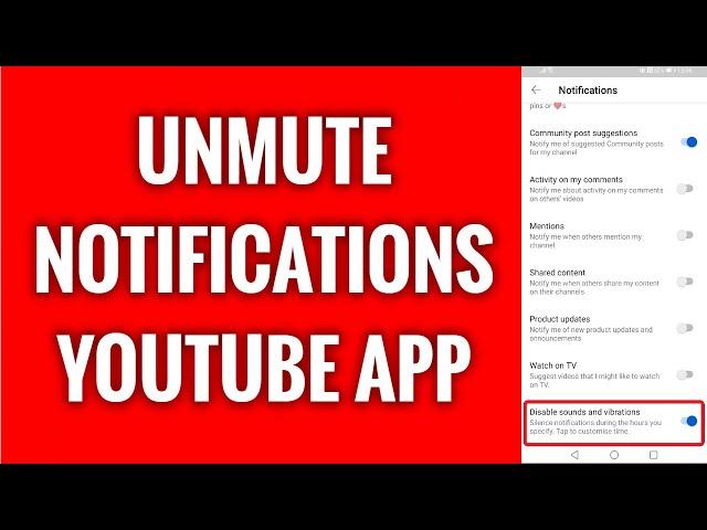 How To Unmute Notifications On YouTube App In 2022