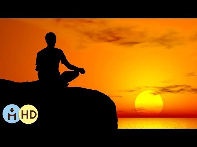 Anti Anxiety! Antidepressive Relaxation Music, Relaxing Songs for Wellness, Relaxation and Calm 801