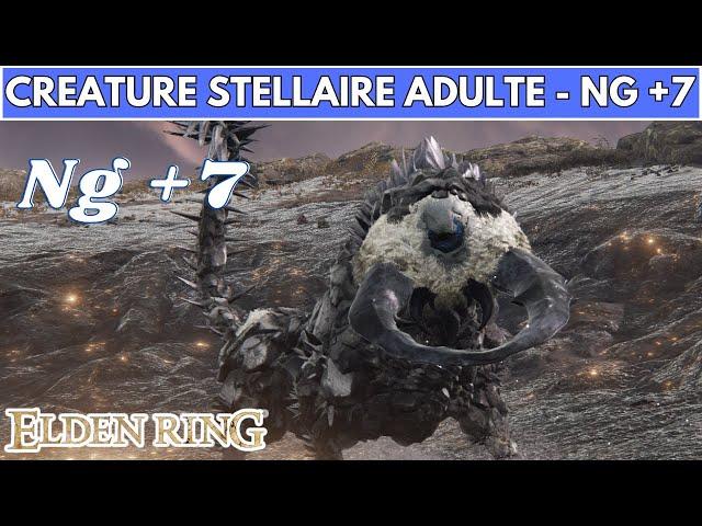 ELDEN RING BOSS : CRÉATURE STELLAIRE ADULTE NG +7 - FULL FIGHT / COMBAT