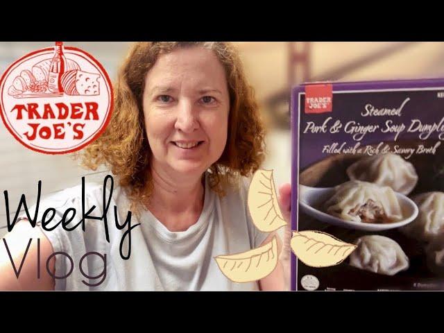 Living Alone Diaries in the Bay Area | Trader Joe's Pork & Ginger Dumplings