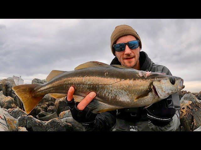 LURE FISHING FOR POLLOCK | JIG FISHING FROM THE ROCKS | CASTING METALS FOR ANYTHING THAT BITES