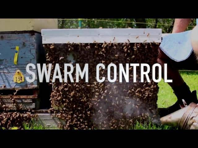 Swarm Control