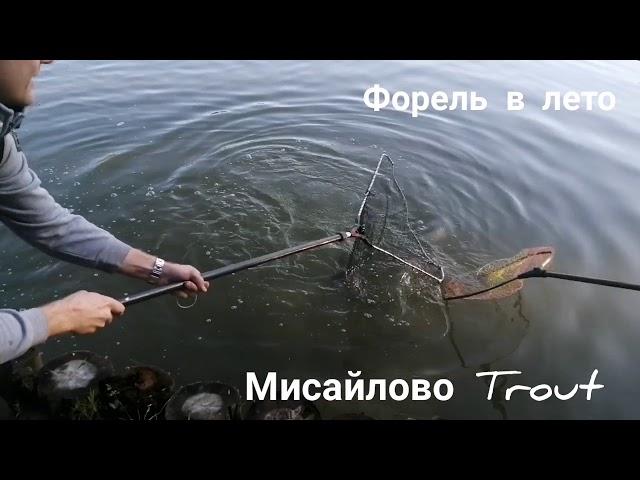 Мисайлово Trout. Платная рыбалка