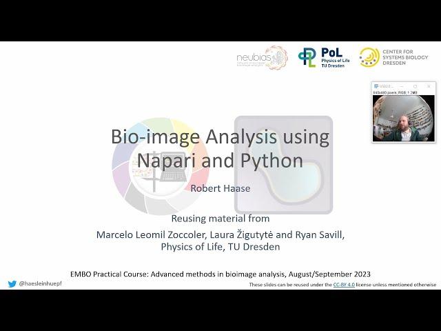 Bio-image Analysis using Napari and Python