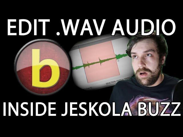 Using Jeskola Buzz's Internal WAV Editor